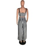 Summer Stripes Crop Top and Long Skirt Set