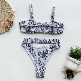 Sexy Two Piece Cut Out Print Swimwear