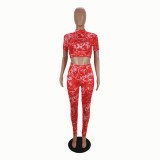 Summer Sexy Two Piece Bodycon Pants Set