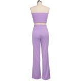 Summer Sexy Solid Color Crop Top and Pants Set