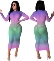 Sexy Gradient Long Sleeve Fit Mesh Dress