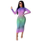 Sexy Gradient Long Sleeve Fit Mesh Dress