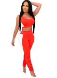 Sexy Contrast Bodycon Crop Top and Stacked Pants Set