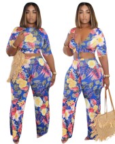 Summer Sexy Floral Crop Top and Pants Set