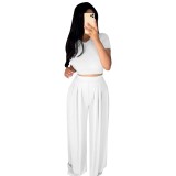 Summer Sexy Plain Crop Top and Pleated Loose Pants Set