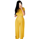 Summer Sexy Plain Crop Top and Pleated Loose Pants Set