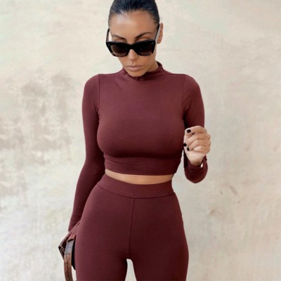 Fall Two Piece Plain Bodycon Crop Top and Pants Set