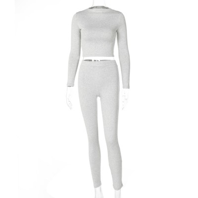 Fall Two Piece Plain Bodycon Crop Top and Pants Set