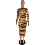 Sexy Tiger Print Long Curvy Dress with Full Sleeves