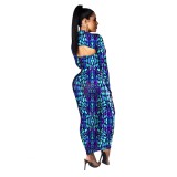 Print Sexy Cut Out Long Curvy Dress with Full Sleeves