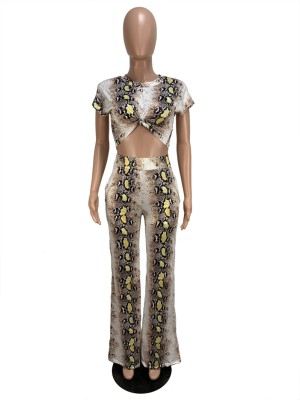 Summer African Matching Two Piece Crop Top and Pants Set