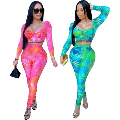 Two Piece Fitted Matching Floral Crop Top and Pants Set