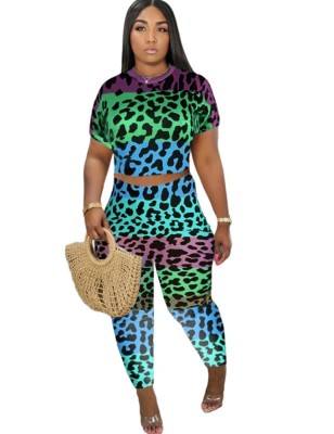 Matching Sexy Leopard Crop Top and Pants Set