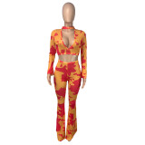 Party Sexy 2 Piece Matching Print Crop Top and Pants Set
