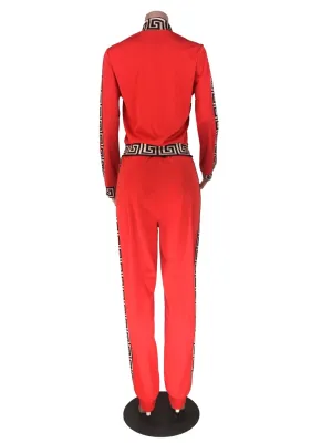 Long Sleeve Casual Print Zip Up Jumpsuit