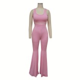 Solid Color 2 Piece Matching Tube Crop Top and Flare Pants Set