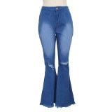 Blue Striped High Waist Ripped Flare Jeans