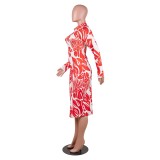 Print African Long Sleeve Zipper Midi Dress