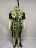 Plus Size Short Sleeve Leopard Green Bodycon Dress