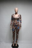 Butterfly Print 2pc Leopard Bodycon Shirt and Legging Set