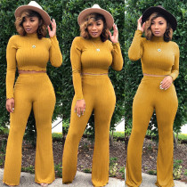 Solid Color Two Piece Knitted Crop Top and Pants Set