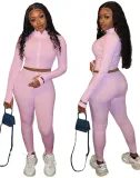 Solid Color Two Piece Knitted Crop Top and Pants Set