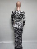 Floral Print Long Sleeve Leopard Midi Dress