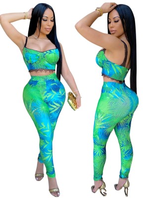 Print Two Piece Bodycon Crop Top and High Waist Pants Set