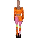 Autumn Sexy Crop Top and Colorful Pants Set