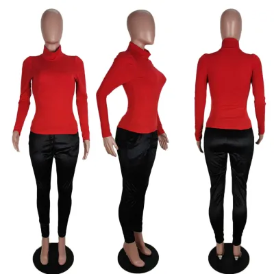 Solid Plain Turtleneck Basic Top with Pop Sleeves
