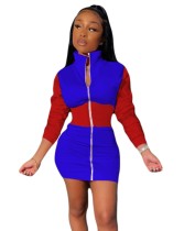 Contrast Color Turtleneck Zip Up Bodycon Dress