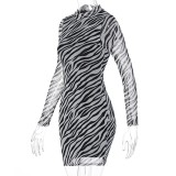 Zebra Print Sexy Long Sleeve Mini Club Dress