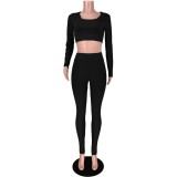 Autumn Two Piece Knitted Tight Crop Top and Pants Set