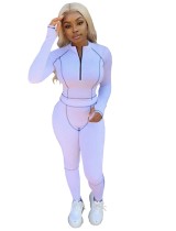 Autumn Sports Fitness Matching Top and Leggings Jogger Suit