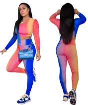 Autumn Matching Two Piece Multi-Color Bodycon Crop Top and Pants Set