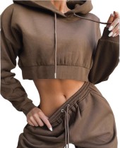 Autumn Solid Color Blank Hoodie Crop Top and Track Pants Set