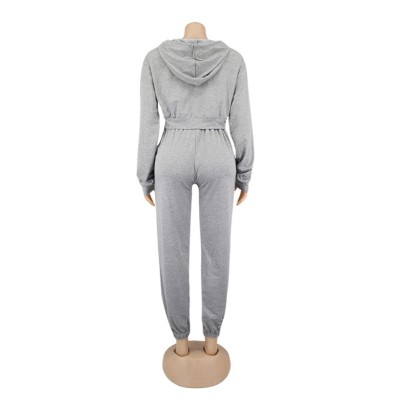 Autumn Solid Color Blank Hoodie Crop Top and Track Pants Set