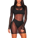Party Sexy Long Sleeve See Through Mini Dress