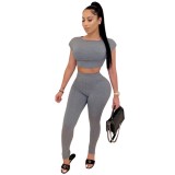 Sexy Solid Plain Fitted Crop Top and Pants Set