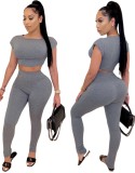 Sexy Solid Plain Fitted Crop Top and Pants Set