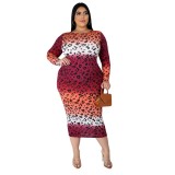 Plus Size Autumn Leopard Colorful Midi Dress