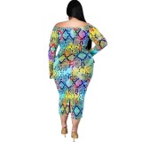 Plus Size Autumn Print Off Shoulder Midi Dress