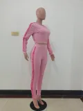 Matching Print Casual Ribbed Long Sleeve Crop Top and Pants Set