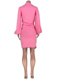 Autumn Pink Bubble Sleeve Top and Mini Skirt Set