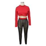 Autumn Party Sexy Crop Top and See Through Mesh Pants Set