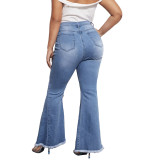 Plus Size High Waist Regular Flare Jeans