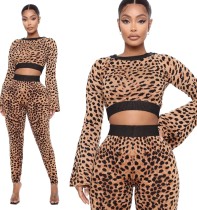 Autumn Party Sexy Leopard Crop Top and Pants Set