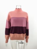 Autumn Contrast Turtleneck Regular Pullover Sweater Top