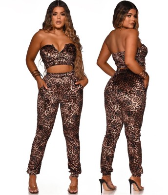 Party Sexy Leopard Strapless Crop Top and Pants Set