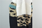 Autumn V-Neck Leopard Print Contrast Pullover Sweater